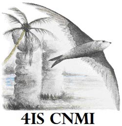 41S CNMI